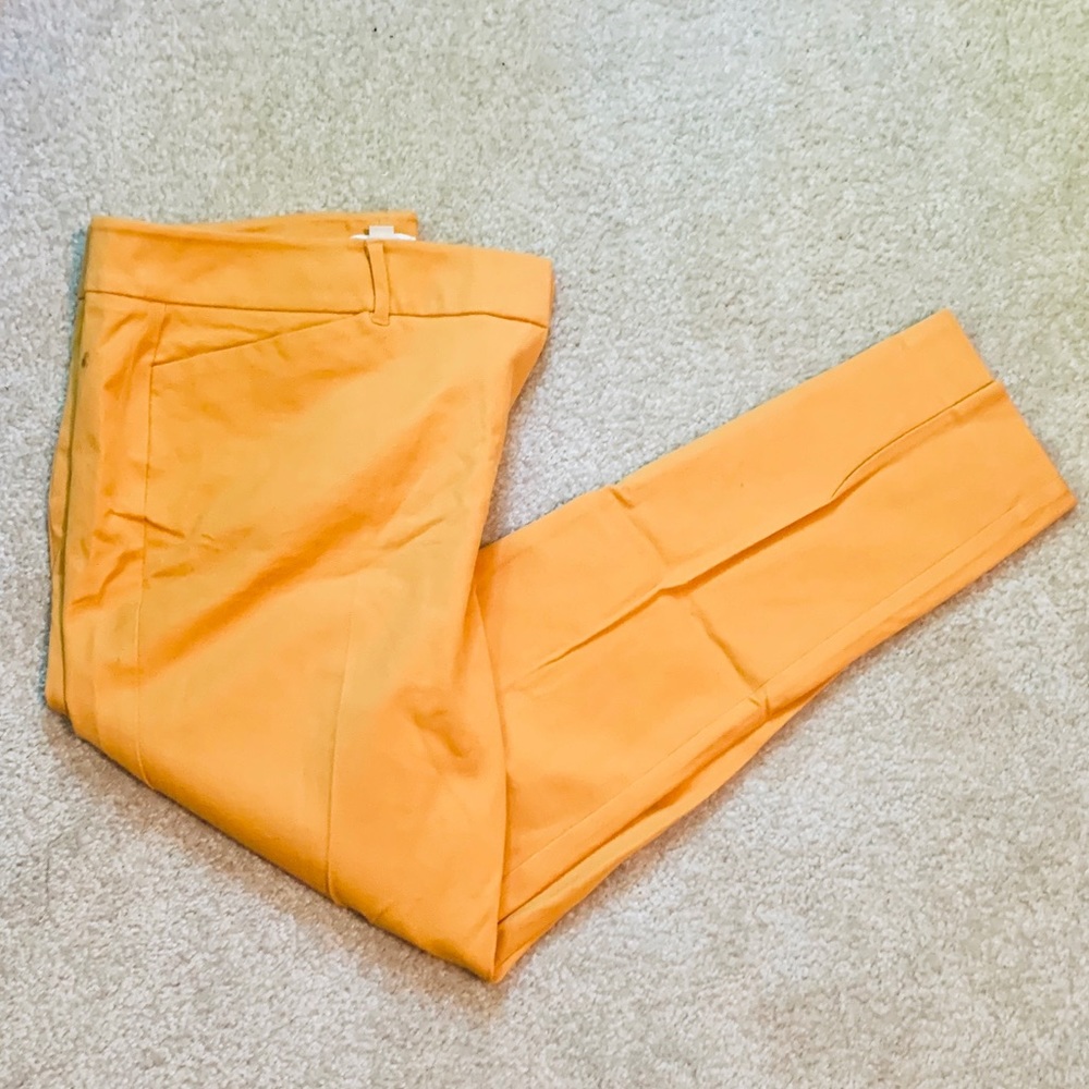 NY&C Mustard Business Pant